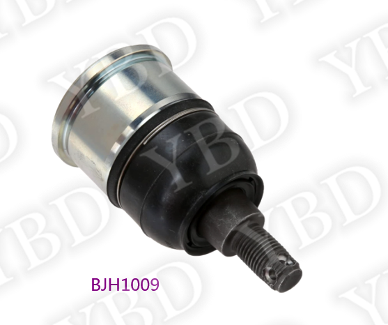 BJH1009