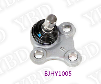 BJHY1005