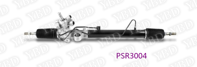 PSR3004